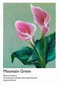 Cala Lilly