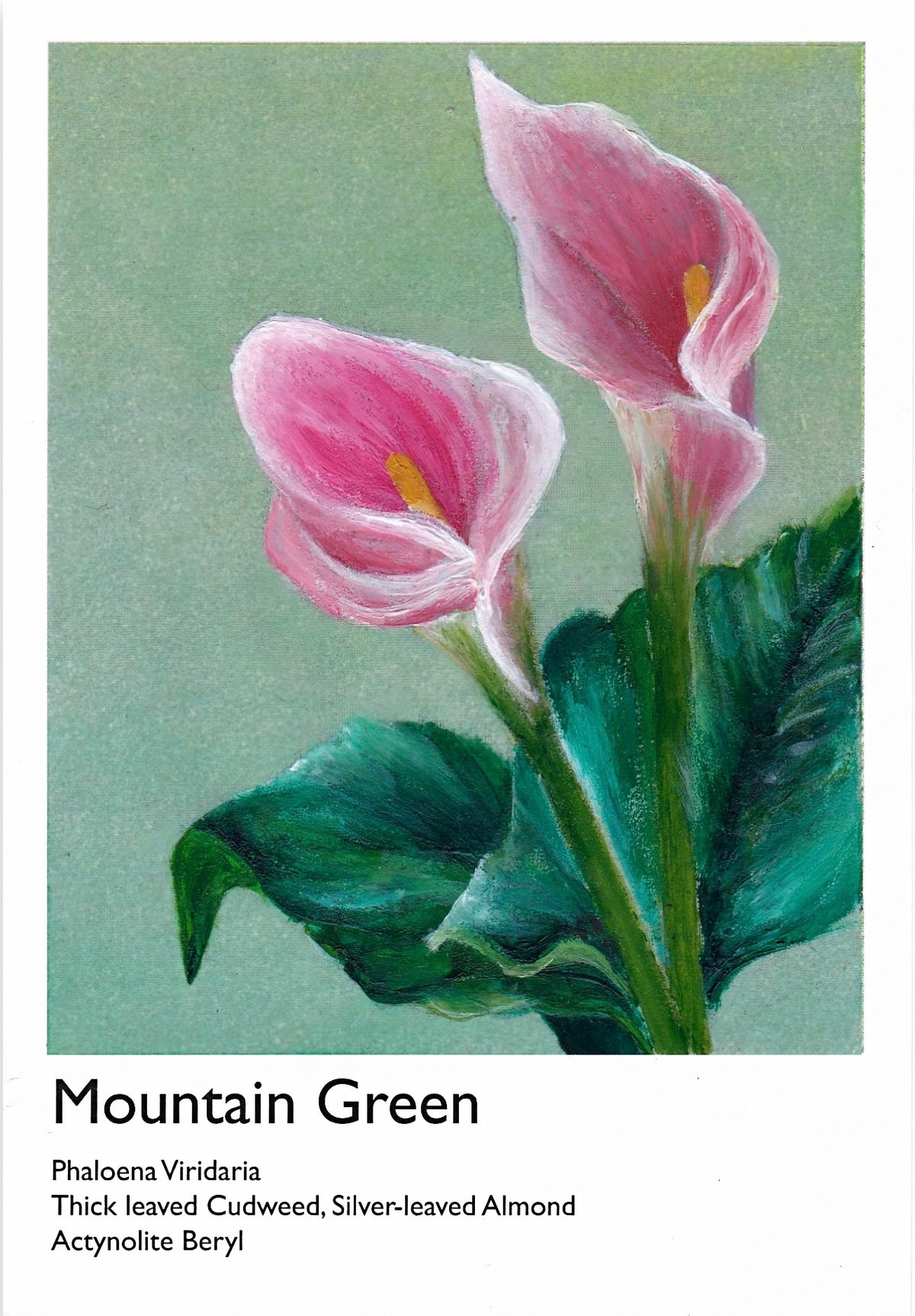 Cala Lilly