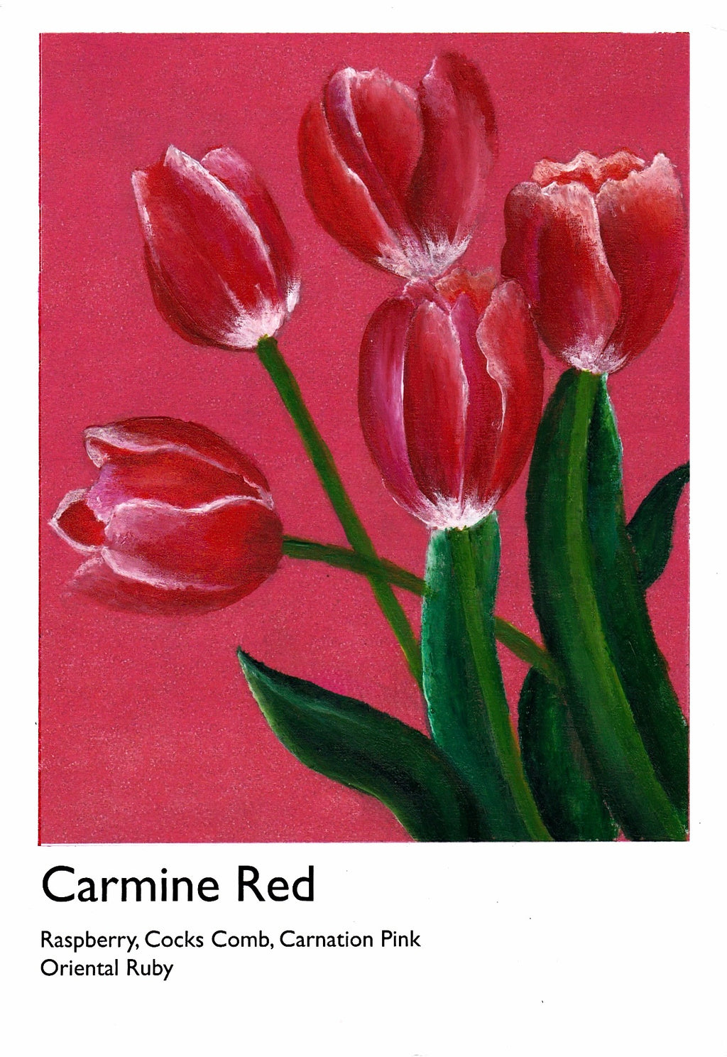 Tulips