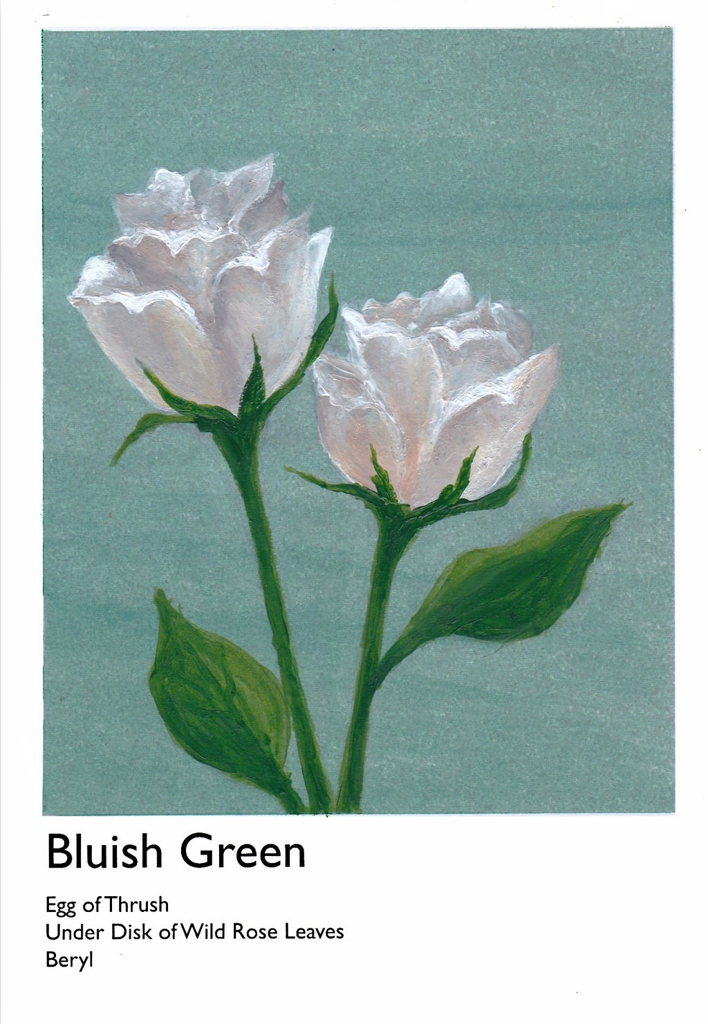 White Rose